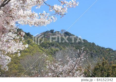 桜満開の高屋神社、下宮参道から見上げる本宮の「天空の鳥居」 桜満開の高屋神社、下宮参道から見上げる本宮の「天空の鳥居」 64152342