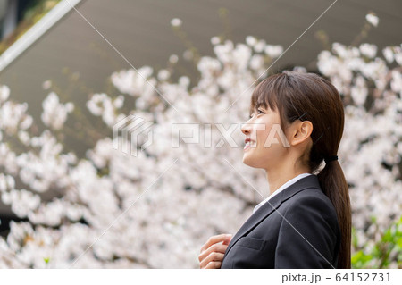 スーツ姿の女性 スーツ姿の女性 64152731