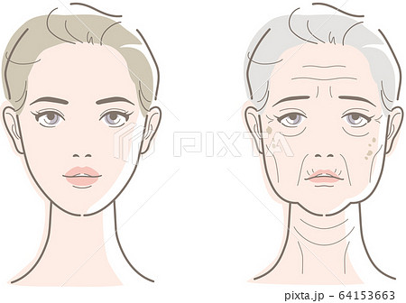 若い女性と高齢の女性の顔のイラスト素材
