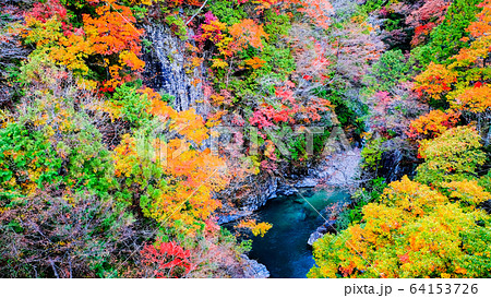付知峡(秋) 付知峡(秋) 64153726