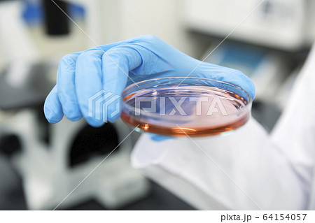 研究　開発　実験イメージ　培養液を持つ女性研究員手元 64154057
