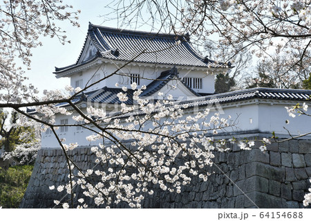 水口城と桜 64154688