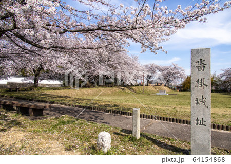 沓掛城址　桜 64154868