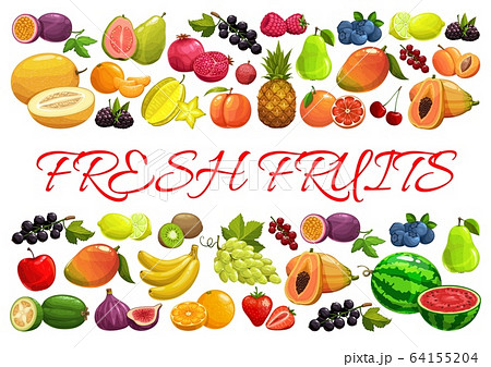 Exotic tropical and garden berries and fruits 64155204