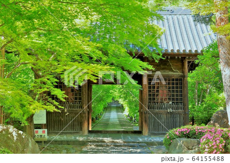 新緑の輪王寺山門 64155488