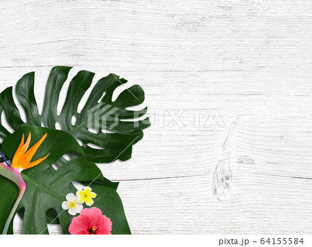 背景-トロピカル-イメージ 64155584