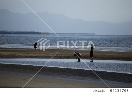 父母ケ浜 64155763