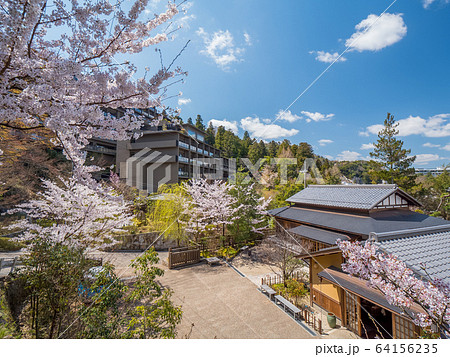 桜が満開の有馬温泉 桜が満開の有馬温泉 64156235