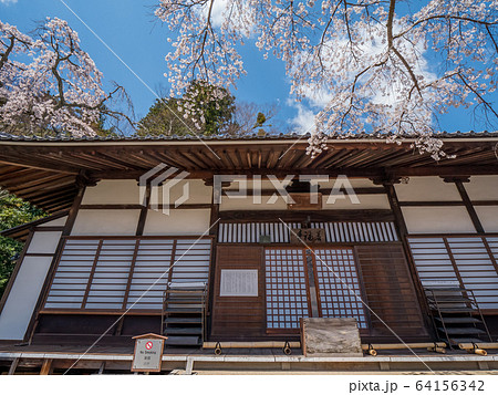 桜が満開の有馬温泉 善福寺 桜が満開の有馬温泉 善福寺 64156342