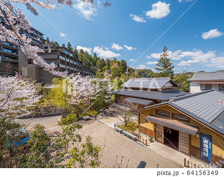 桜が満開の有馬温泉 64156349