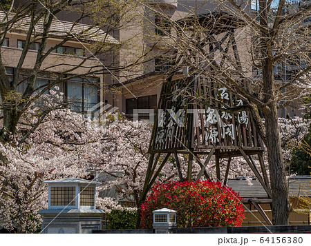 桜が満開の有馬温泉 64156380