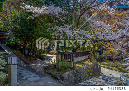 桜が満開の有馬温泉 炭酸泉原公園 桜が満開の有馬温泉 炭酸泉原公園 64156388