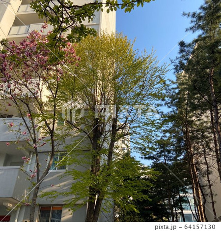 近所 風景 調和 64157130