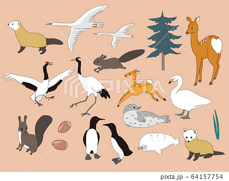 北海道の動物たち2のイラスト素材
