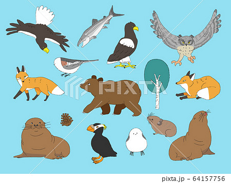 北海道の動物たち1のイラスト素材