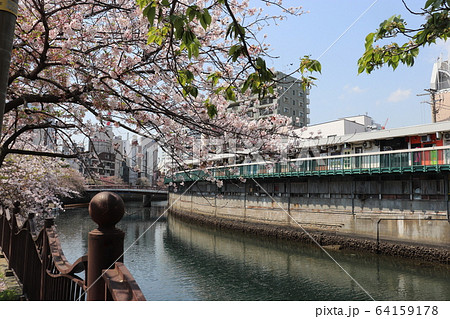 桜の季節の横浜野毛にある都橋商店街 横浜市 神奈川県 桜の季節の横浜野毛にある都橋商店街 横浜市 神奈川県 64159178
