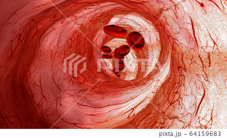 blood vessels background is perfect for any type of news or information presentation. The background features a stylish and clean layout  64159683