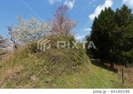 吉野山の桜 吉野山の桜 64160196