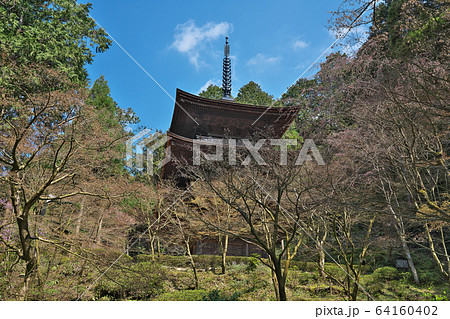【金剛輪寺 (三重塔)】 滋賀県愛知郡愛荘町松尾寺 64160402