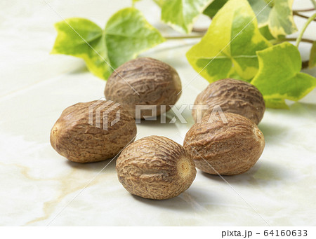 ナツメグ ナツメグ 64160633