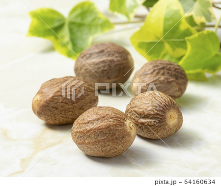 ナツメグ 64160634