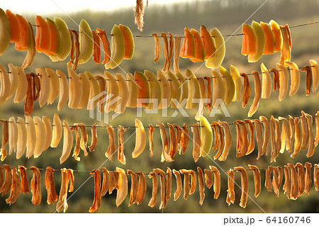 干すために吊るされるハミウリ。新疆ウィグル自治区。2019/8/28 64160746