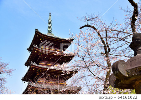 上野東照宮 五重塔と桜 上野東照宮 五重塔と桜 64161022