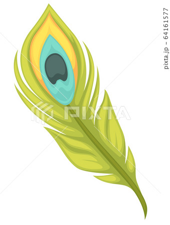 Peacock feather with eye pattern, peafowl plumelet icon 64161577