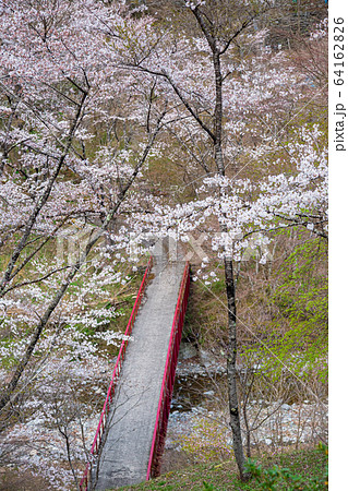 春の景色　檜原村 64162826