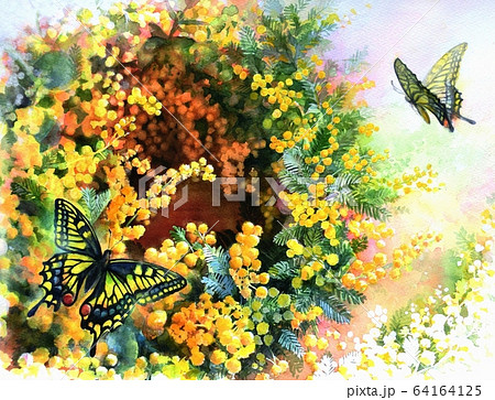 ミモザの花のリースとアゲハ蝶をモチーフに春の訪れを描いた水彩イラストのイラスト素材