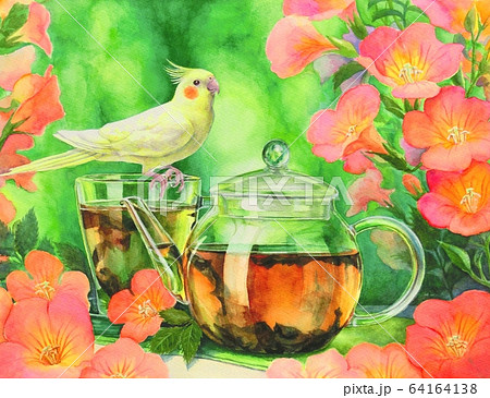 オカメインコと紅茶ポットとノウゼンカズラの花を描いた水彩イラストのイラスト素材