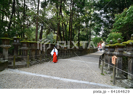 春日大社より 春日大社より 64164629