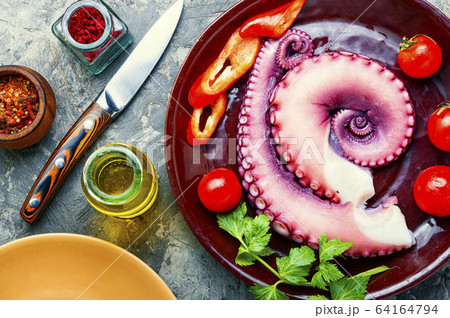 Raw octopus on plate Raw octopus on plate 64164794