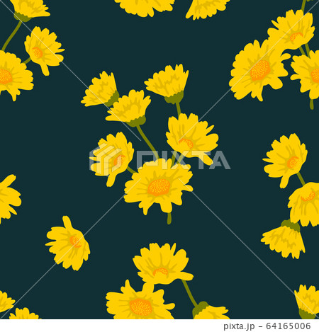 Seamless floral print. Seamless floral print. 64165006