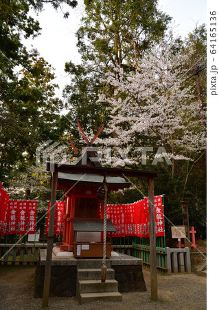 春日大社より 64165136