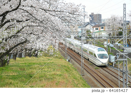 小田急線ロマンスカーと桜 小田急線ロマンスカーと桜 64165427