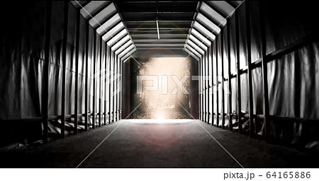 Light  from  the Gate. 64165886