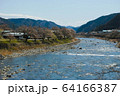長良川と桜3 64166387