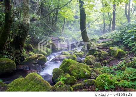 大山 木谷沢 夜明け 大山 木谷沢 夜明け 64168328