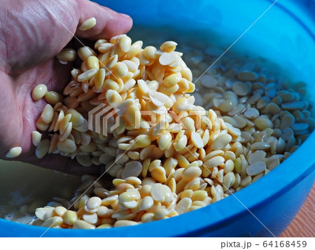 Half soy beans prepared for soy milk. Half soy beans prepared for soy milk. 64168459