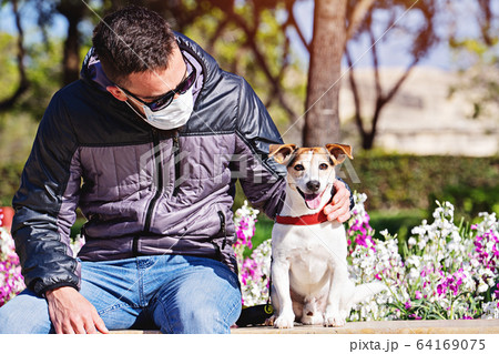 Quarantine dog rental concept for walk in street 64169075