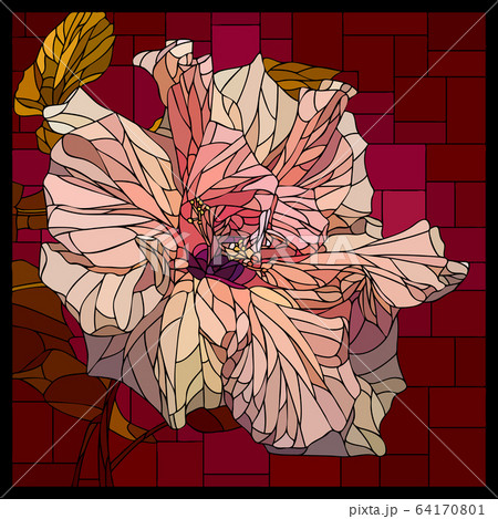 Vector stained glass window with blooming cream pink hibiscus. 64170801