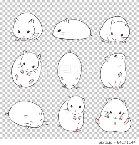 パールホワイトハムスターのイラスト素材