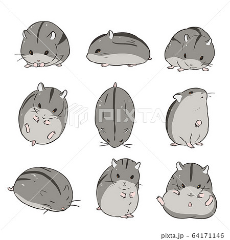Djangarian Hamster Stock Illustration