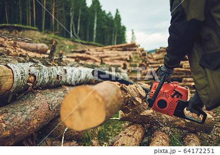Chainsaw. Close-up of woodcutter sawing chain saw in motion, sawdust fly to sides. Concept bring down trees. 64172251