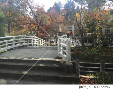 岐阜高山散歩 64172295