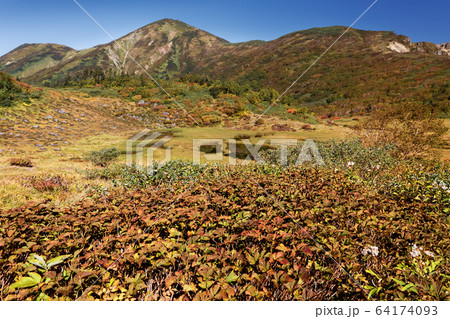 妙高連峰・天狗の庭の紅葉と火打山 妙高連峰・天狗の庭の紅葉と火打山 64174093