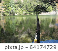 上高地５ 64174729