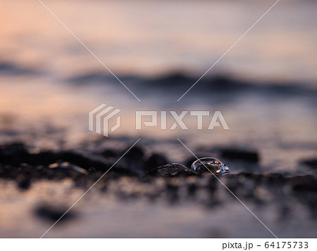 支笏湖 冬の夜明け 支笏湖 冬の夜明け 64175733