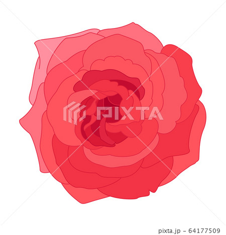 vector rose flower clip art vector rose flower clip art 64177509